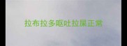 拉布拉多呕吐拉屎正常