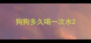 狗狗多久喝一次水