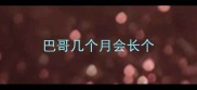 巴哥几个月会长个