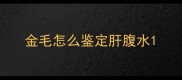 金毛怎么鉴定肝腹水