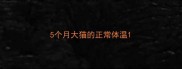 5个月大猫的正常体温