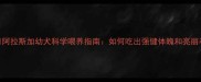 3个月阿拉斯加幼犬科学喂养指南如何吃出强健体魄和亮丽毛发