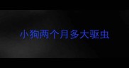 小狗两个月多大驱虫