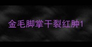 金毛脚掌干裂红肿