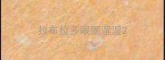 拉布拉多眼圈湿湿
