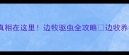 边牧吃打虫药要死真相在这里边牧驱虫全攻略边牧养护宠物健康打虫知识