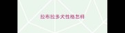 拉布拉多犬性格怎样