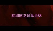 狗狗咳吃阿莫西林