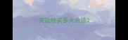买边牧买多大合适