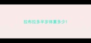 拉布拉多半岁体重多少