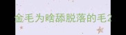 金毛为啥舔脱落的毛