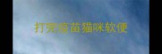 打完疫苗猫咪软便