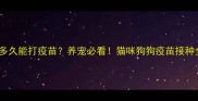 洗澡后多久能打疫苗养宠必看猫咪狗狗疫苗接种全攻略