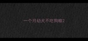 一个月幼犬不吃狗粮