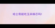 哈士奇能吃玉米棒芯吗