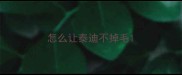 怎么让泰迪不掉毛