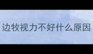 边牧视力不好什么原因