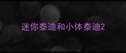 迷你泰迪和小体泰迪