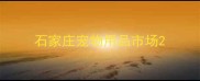 石家庄宠物用品市场