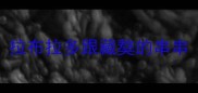 拉布拉多跟藏獒的串串