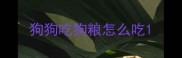 狗狗吃狗粮怎么吃
