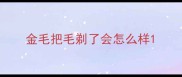 金毛把毛剃了会怎么样