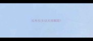 拉布拉多幼犬咳嗽呕