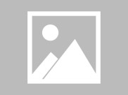 新手必看3步教你轻松训练小狗使用狗厕所告别满屋异味和清洁烦恼