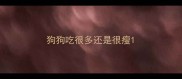 狗狗吃很多还是很瘦