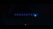 拉布拉多犬会不会看家