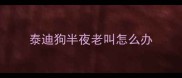 泰迪狗半夜老叫怎么办