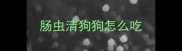 肠虫清狗狗怎么吃