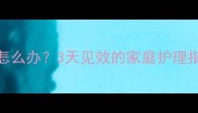 小狗感冒不吃不喝怎么办3天见效的家庭护理指南附症状识别表