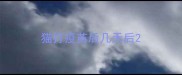 猫打疫苗后几天后