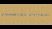 狗狗卵磷脂什么时候吃幼犬老年犬全攻略