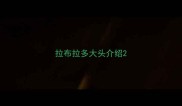 拉布拉多大头介绍