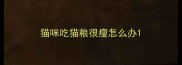 猫咪吃猫粮很瘦怎么办