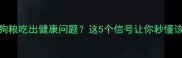 哈士奇吃狗粮吃出健康问题这5个信号让你秒懂该换粮了