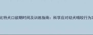 比特犬口欲期时间及训练指南科学应对幼犬啃咬行为