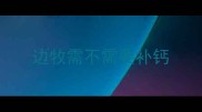 边牧需不需要补钙