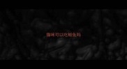 猫咪可以吃鲅鱼吗