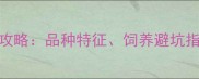哈士奇选购全攻略品种特征饲养避坑指南附对比图