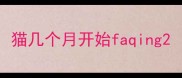 猫几个月开始faqing