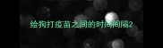 给狗打疫苗之间的时间间隔