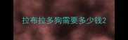 拉布拉多狗需要多少钱