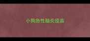 小狗急性脑炎疫苗