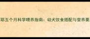 萨摩耶五个月科学喂养指南幼犬饮食搭配与营养要点全