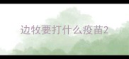 边牧要打什么疫苗