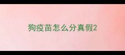 狗疫苗怎么分真假
