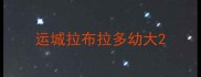 运城拉布拉多幼大